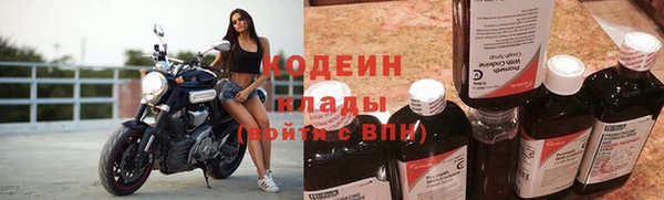 мет Бородино