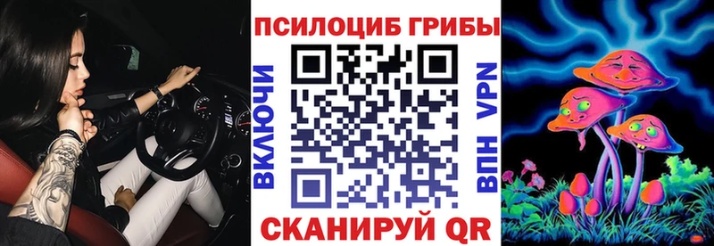 Галлюциногенные грибы Psilocybine cubensis  это телеграм  Новосокольники 