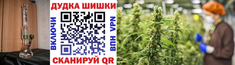 Бошки марихуана Amnesia  цены наркотик  Новосокольники 